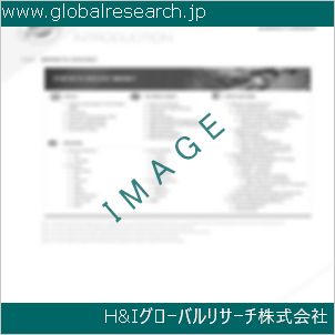 グローバルリサーチ調査資料のイメージ